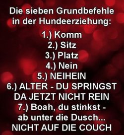 11Unbenannt.JPG