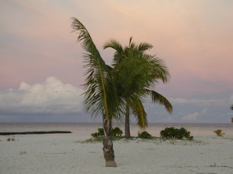 Maldives 017.jpg