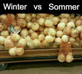 5Unbenannt.JPG