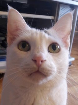 20180303_090907_crop_464x621.jpg