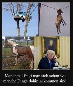 wundern.jpeg