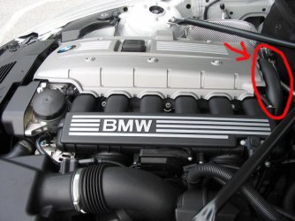Z4N52.jpg