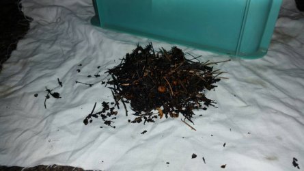 20160618_150122.jpg