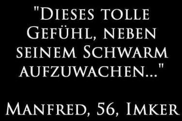 4Unbenannt.JPG