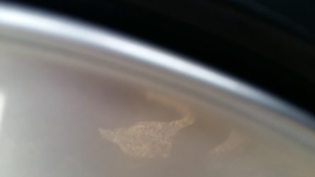 20180309_162812.jpg