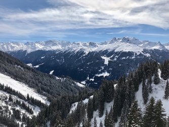 IMG_9837.jpg