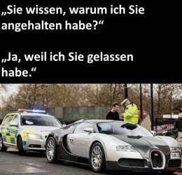 Polizeikontrolle.jpg