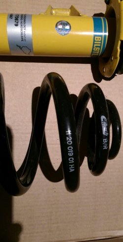 IMAG0695_1.jpg