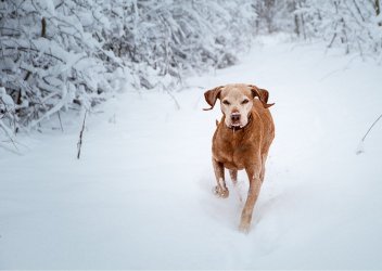 IMG_2886.JPG