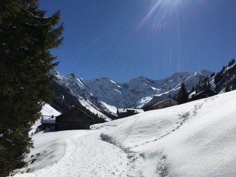 IMG_0878_klein.jpg