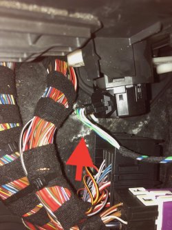 IMG_4461.jpg