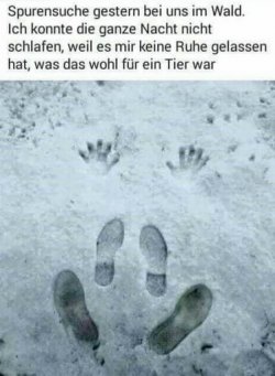 7Unbenannt.JPG