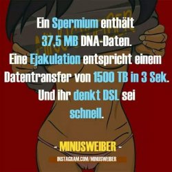 law9N7silsE.jpg