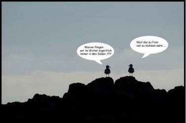 2Unbenannt.JPG
