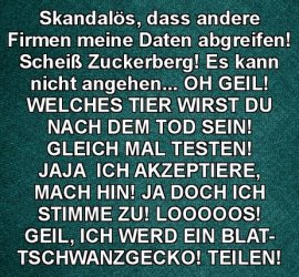 3Unbenannt.JPG