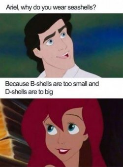 2Unbenannt.JPG