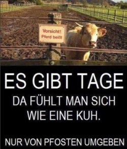2Unbenannt.JPG