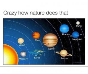31045535_442957252851616_5358473158578432097_n.jpg