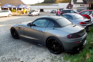 zr8524.JPG