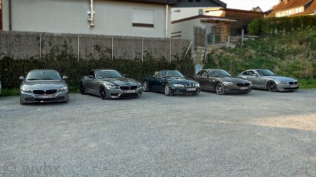 zr8529.JPG