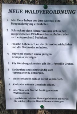 3Unbenannt.JPG