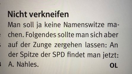 A.Nahles.jpeg