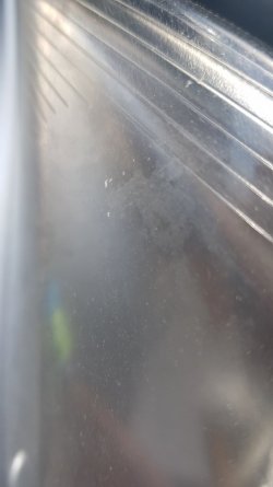 20180428_154635.jpg