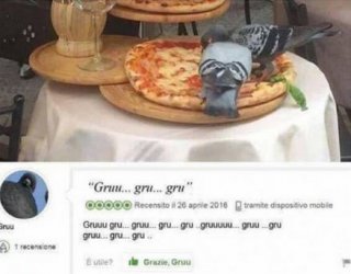 1Unbenannt.JPG