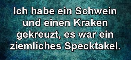 2Unbenannt.JPG