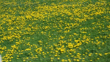 DSC00755.JPG