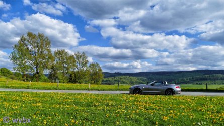 zr110427.JPG