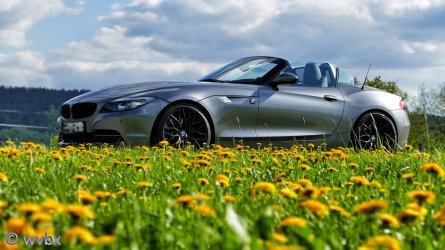 zr110439.JPG