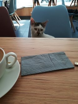 02_IMG_20180508_120812 - Kopie.jpg
