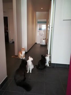 02_IMG_20180508_125604 - Kopie.jpg
