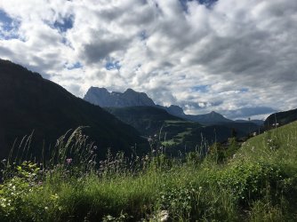 IMG_1604_klein.jpg