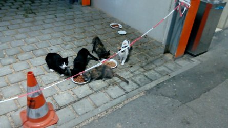 Auf der Arbeit 2.jpg