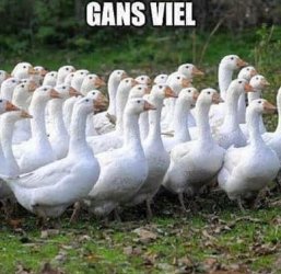 E495DE3A-3F8A-4B15-9FA5-41CAB4A2EB41.jpeg