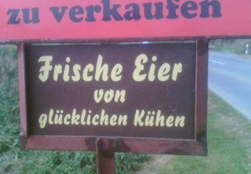 frische_Eier.jpg