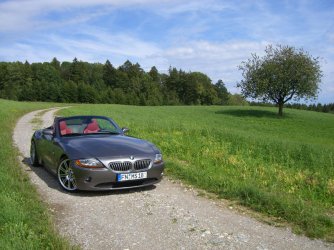 bild90.jpg