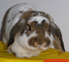 PICT0017.jpg
