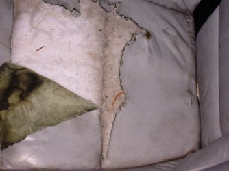 USA 2007 007.jpgforum.jpg