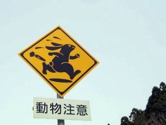 hasenschild.jpg