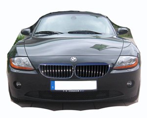 Z4 mit E64 Nieren n5.jpg