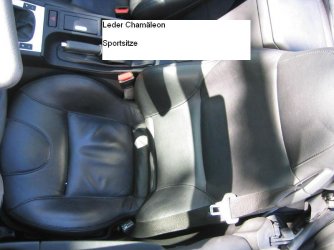 Chamäleon.JPG