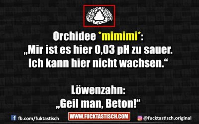 92135384-8E5B-4E80-8B6E-CB7EB58DFF19.jpeg