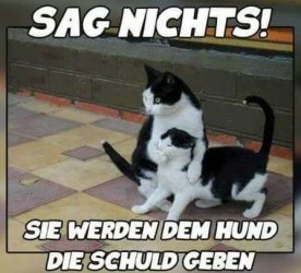 tUnbenannt.JPG