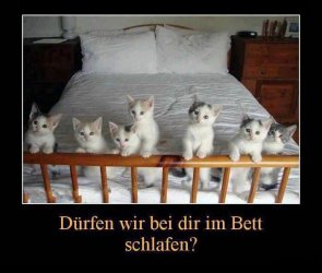 Bett.jpg