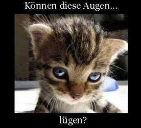 koennen-diese.jpg