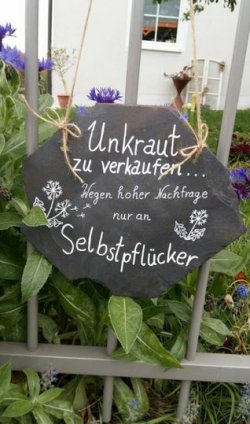 6Unbenannt.JPG
