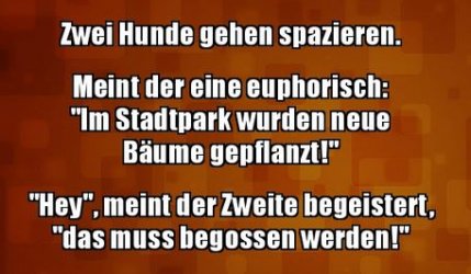 6Unbenannt.JPG